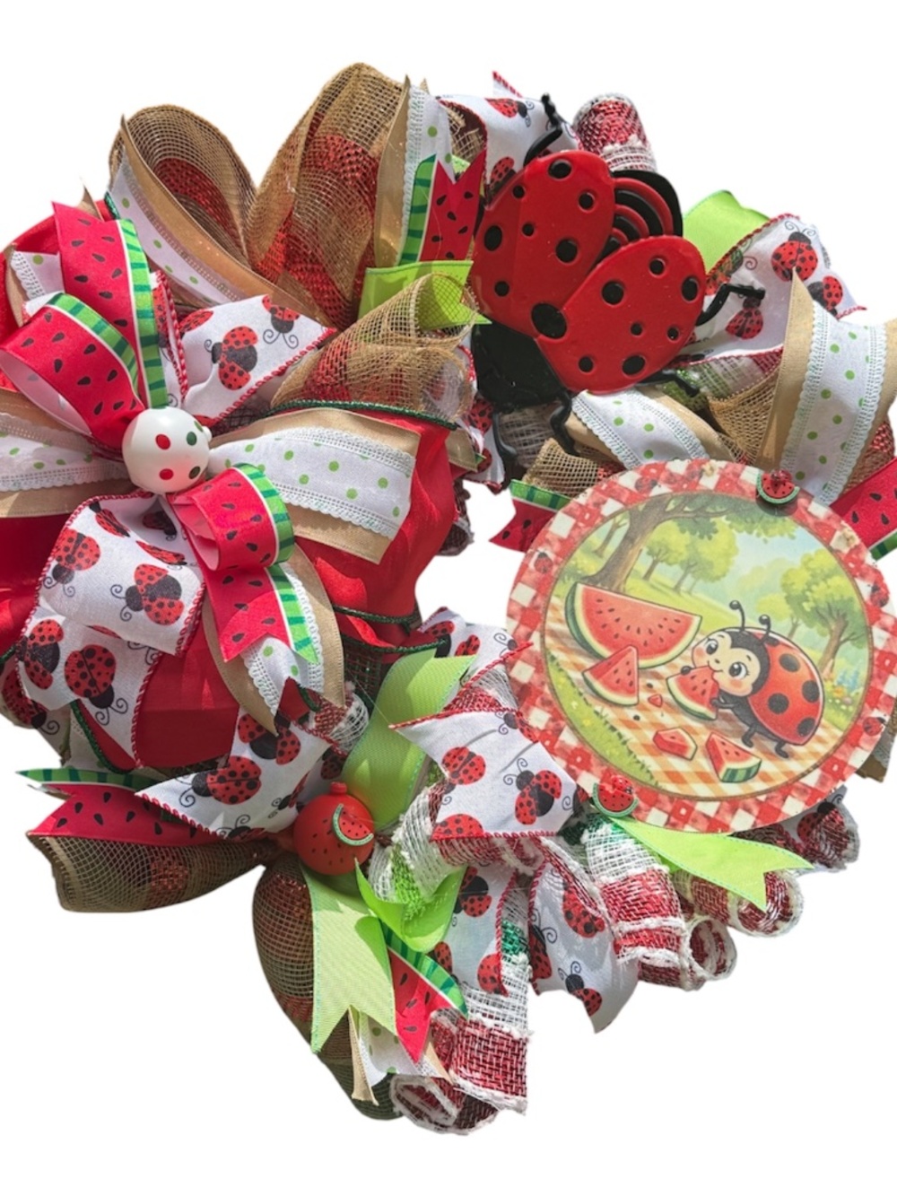 Ladybug watermenlon spring summer wreath